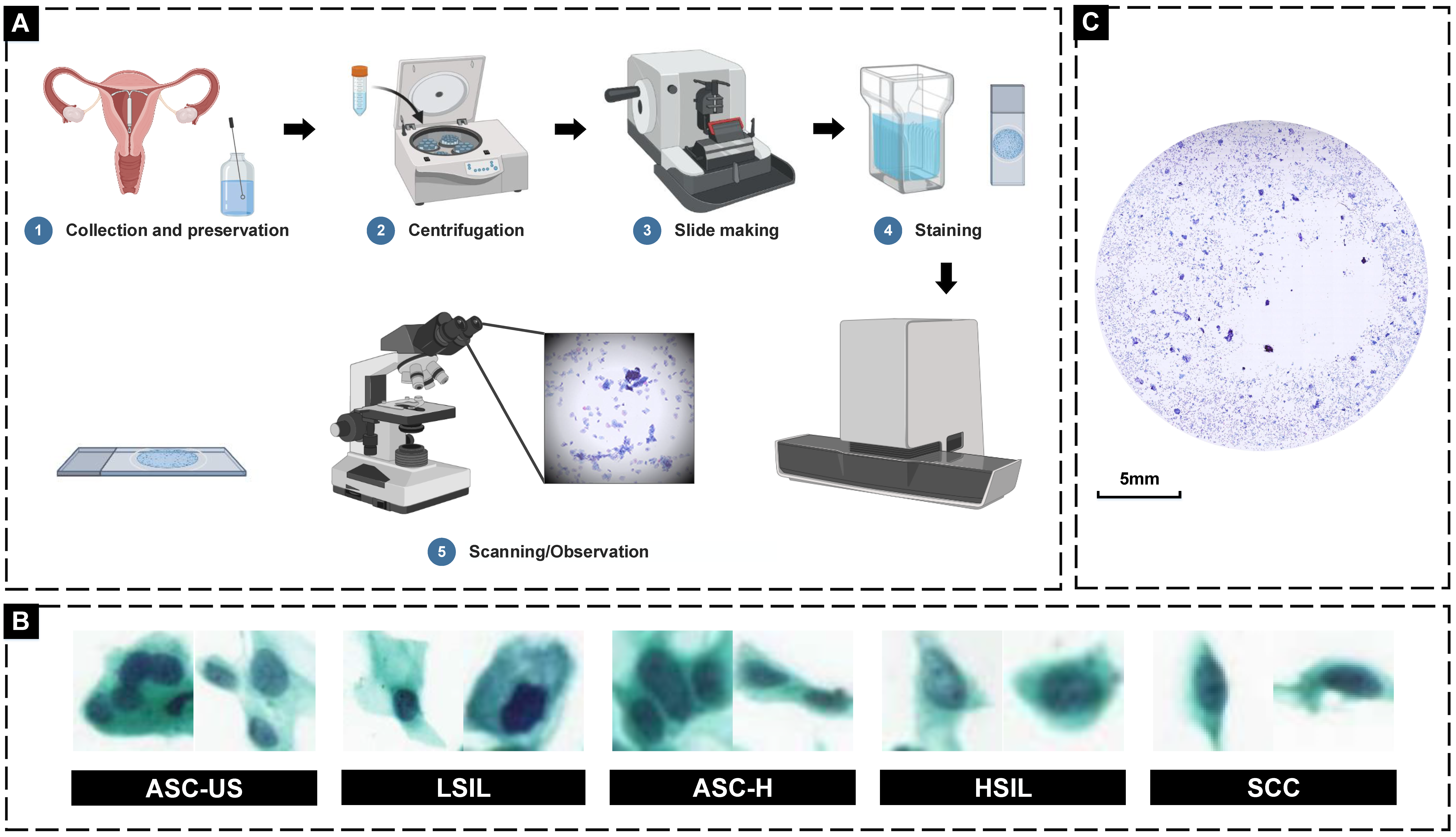 2022 mia cytology