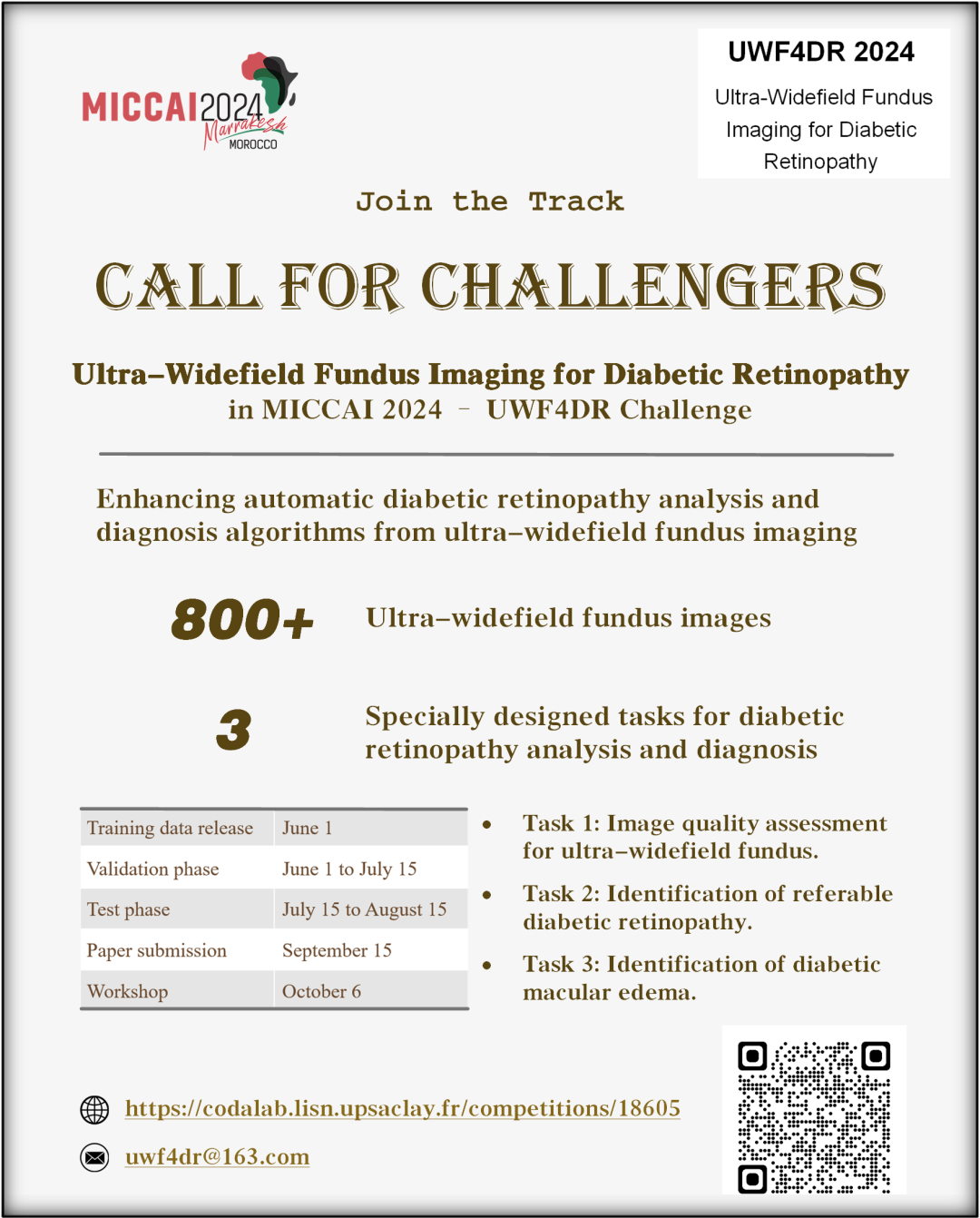 MICCAI UWF4DR 2024 Sub-track - Ultra-Widefield Fundus Imaging for Diabetic Retinopathy Challenge