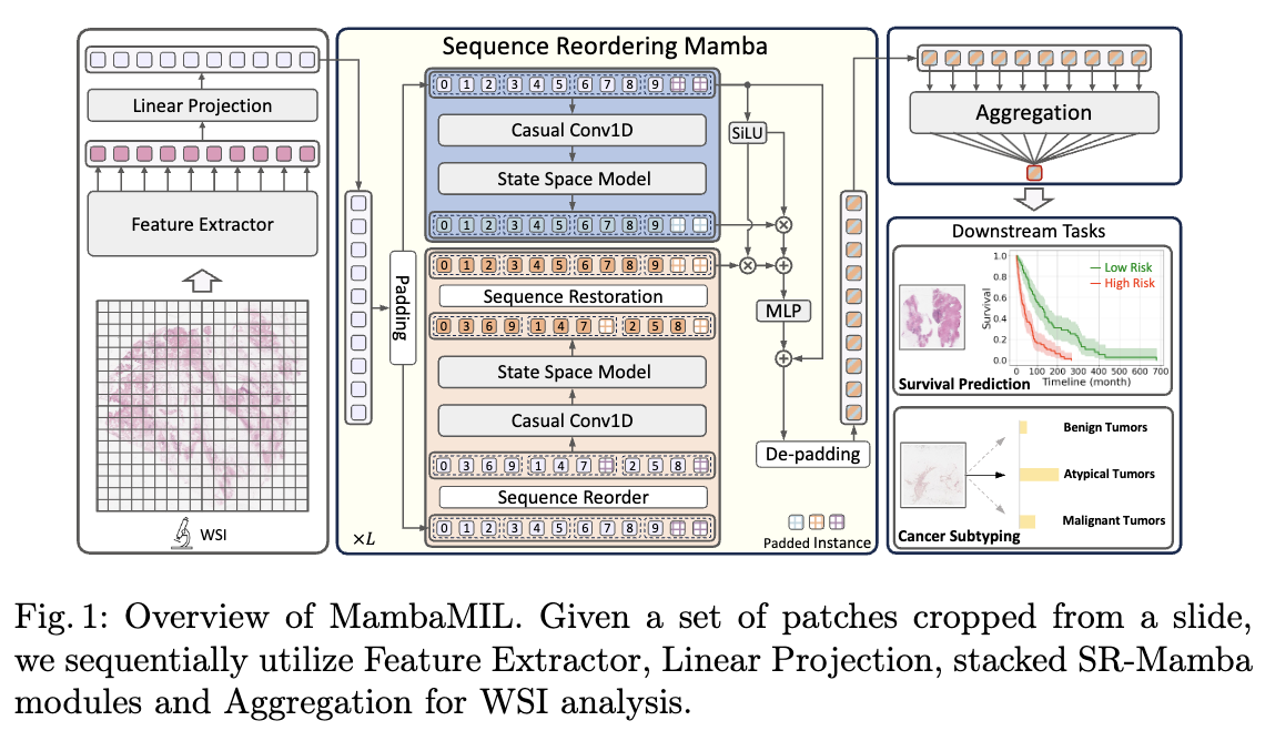 [MICCAI 2024 Paper] MambaMIL Enhancing Long Sequence Modeling with