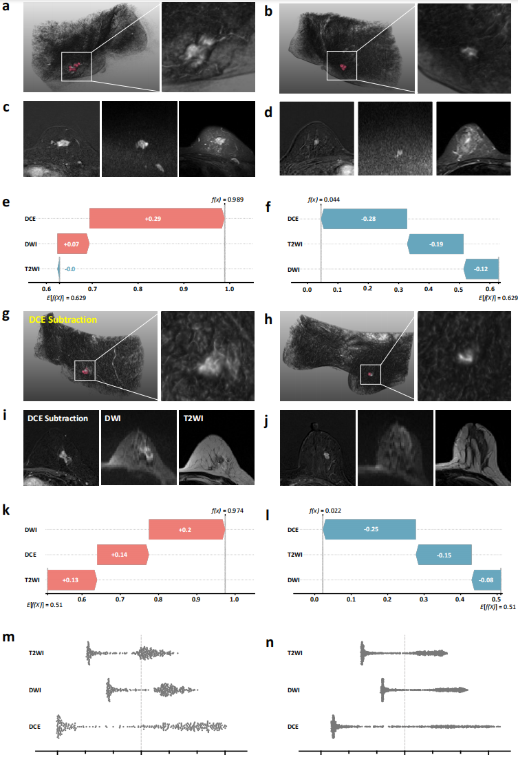 MOME Decision Explanations