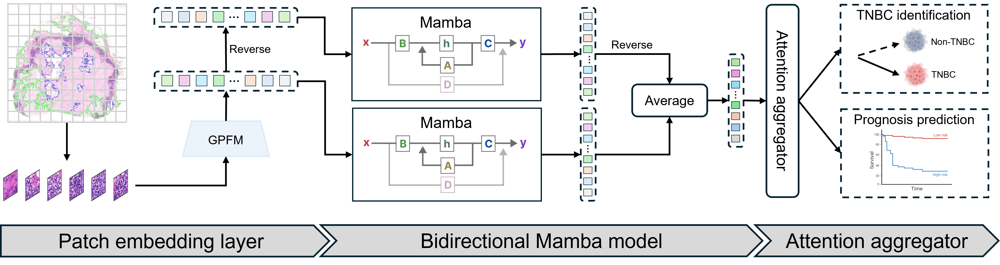 network structure