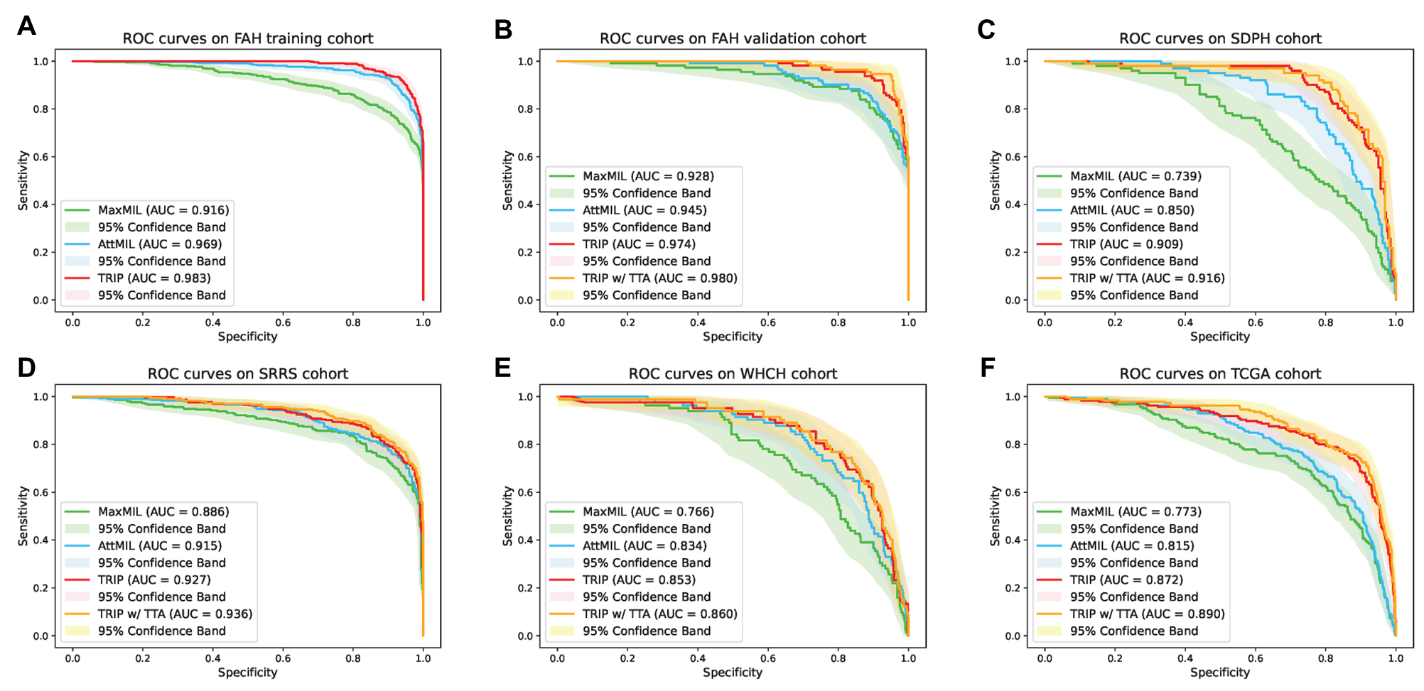 TNBC identification performance