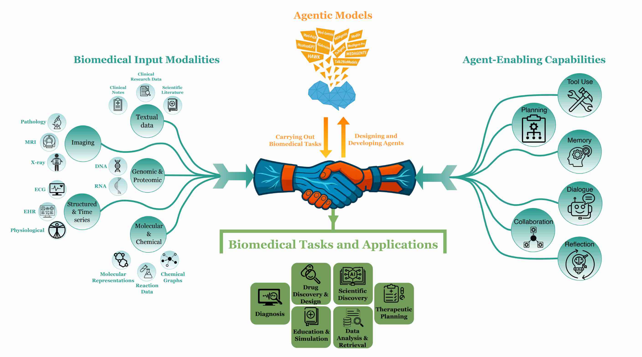 Conceptual workflow of biomedical agentic AI