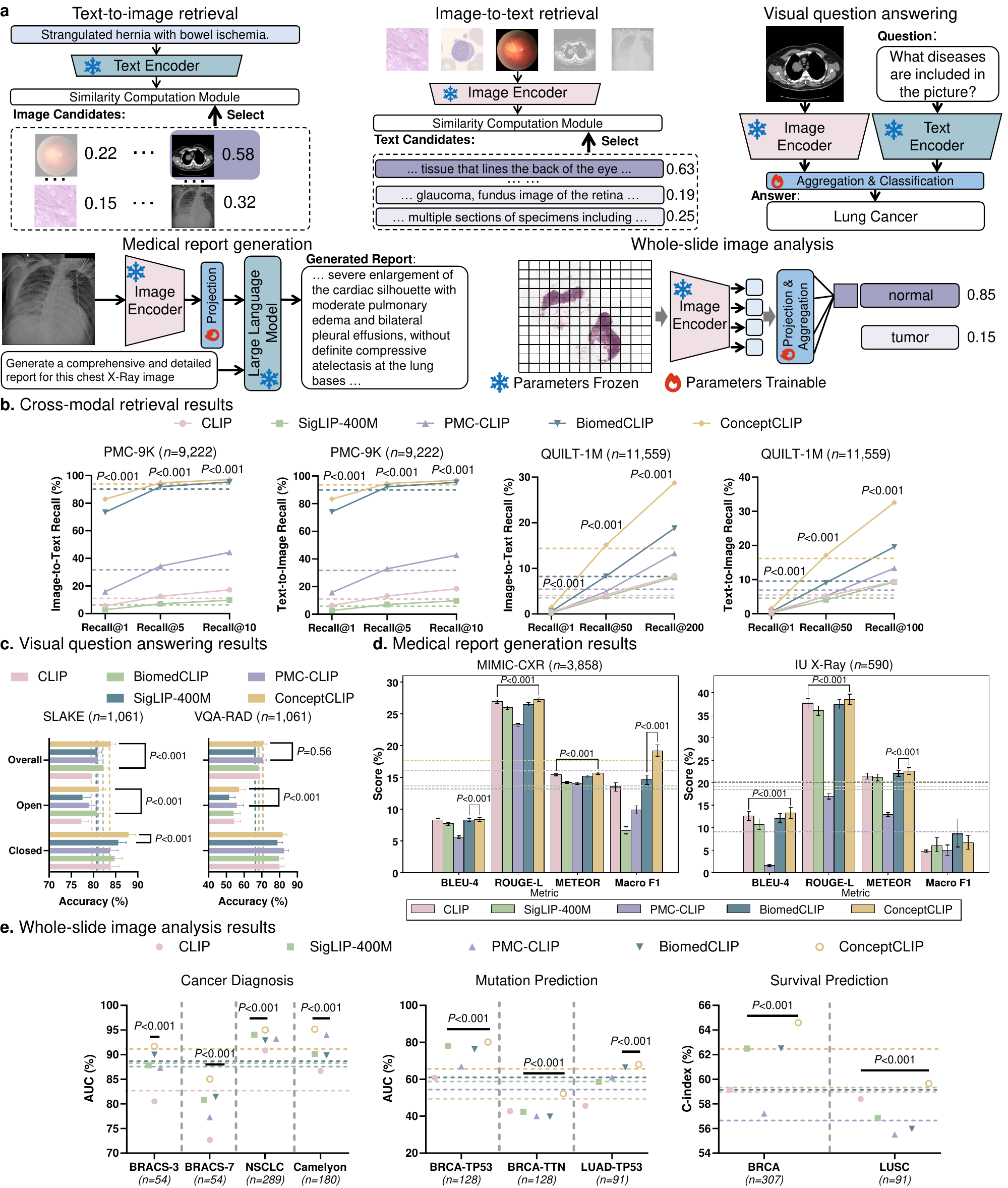 Results on cross-modal retrieval, VQA, report generation, and whole-slide image analysis