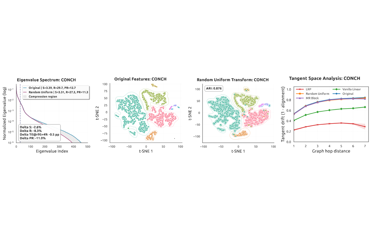[ICLR 2026] Exploiting Low-Dimensional Manifold of Features for Few-Shot Whole Slide Image Classification