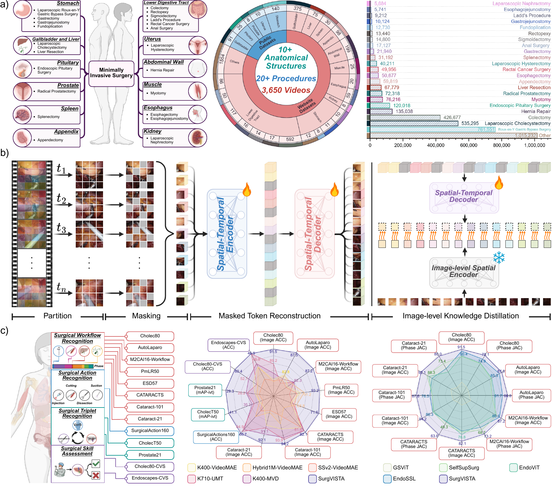 Fig. 1. Overall SurgVISTA framework, including the pretraining dataset, asymmetric encoder-decoder architecture, and downstream evaluation benchmark