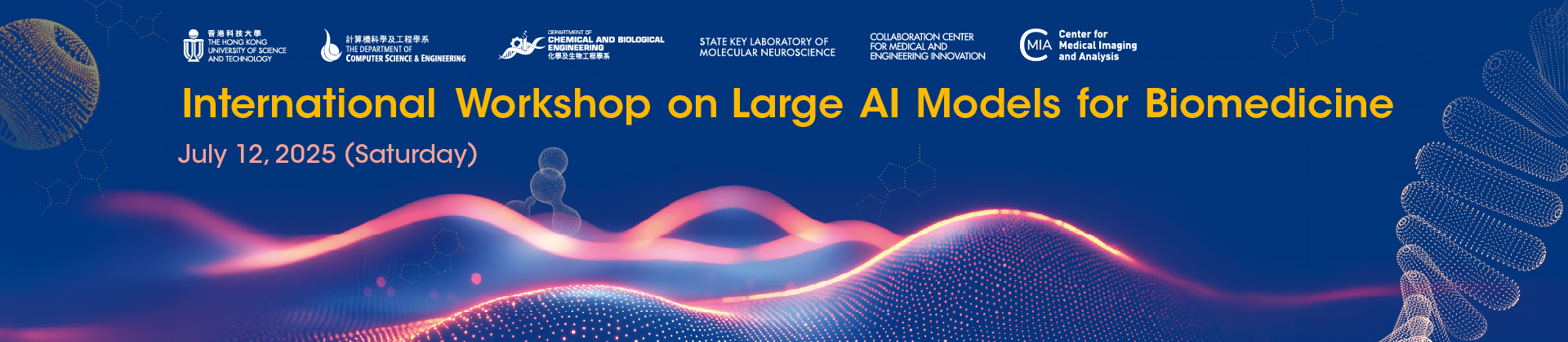 International Workshop on Large AI Models for Biomedicine